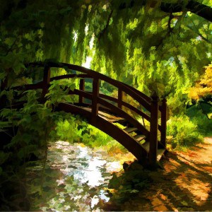 Bridge in Nature