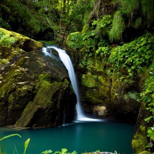 Natural Waterfall