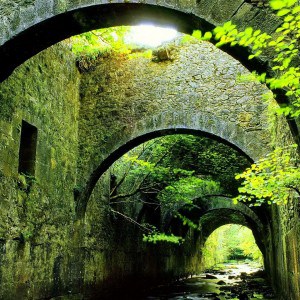 Bridge over Nature