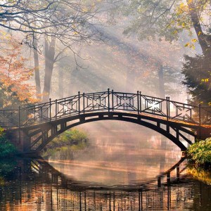 Bridge over River