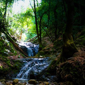 Nature Waterfall