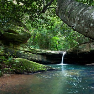 Nature Waterfall