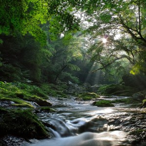 Natural Stream