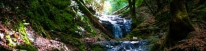 Nature Waterfall