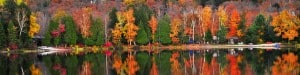 Colorful fall, autumn horizon