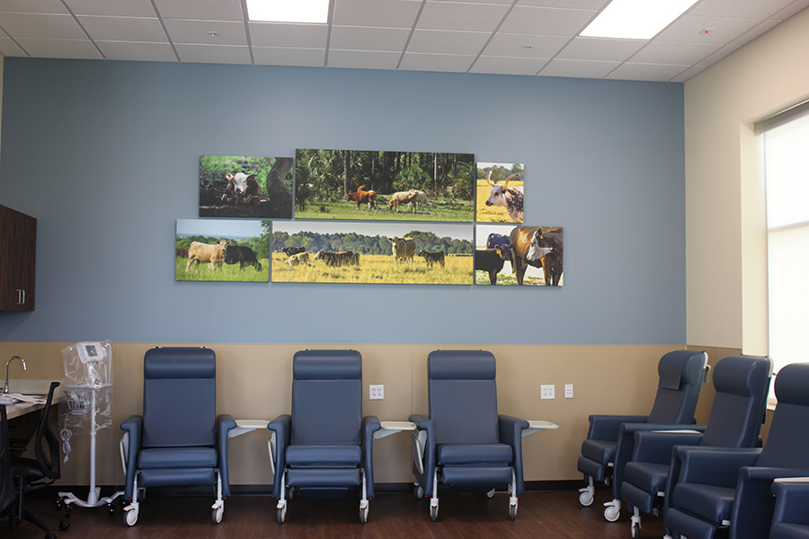 Waiting room wall art installation by My Favorite Art Place