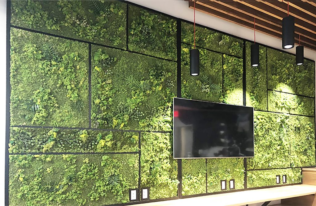 Green moss living wall installation by My Favorite Art Place