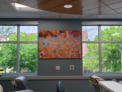 Nature-inspired wall art installed in a modern office interior by My Favorite Art Place