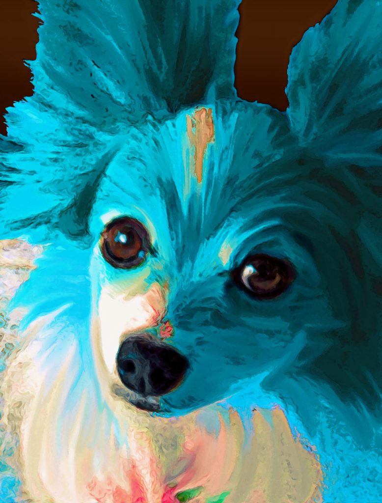 Dog portrait artistic wall art by My Favorite Art Place