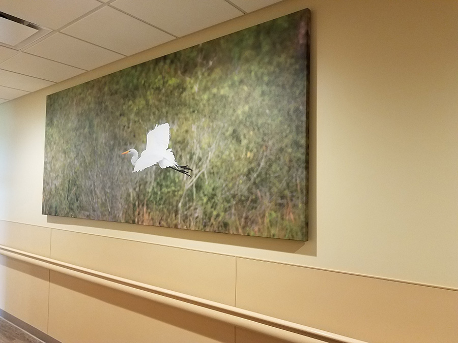 Large panoramic landscape canvas by My Favorite Art Place