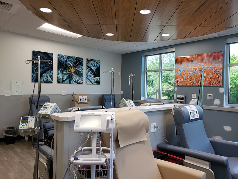 Healthcare treatment room decor by My Favorite Art Place