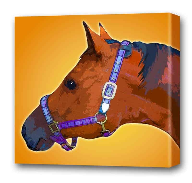pet art horse image sample