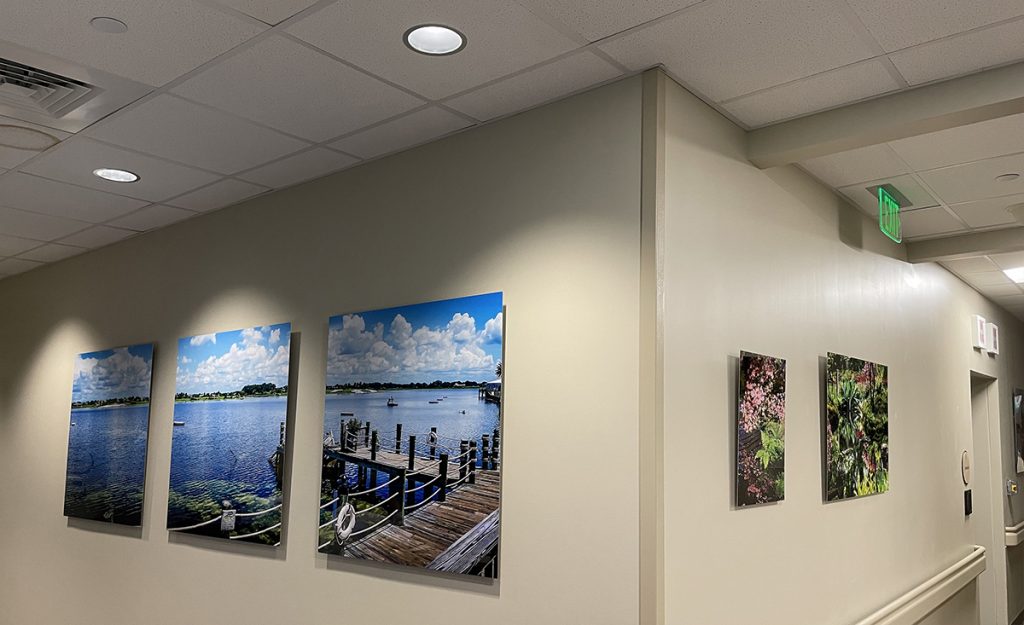 Hallway art display curated by My Favorite Art Place.