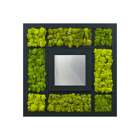 Square moss frame wall installation by My Favorite Art Place