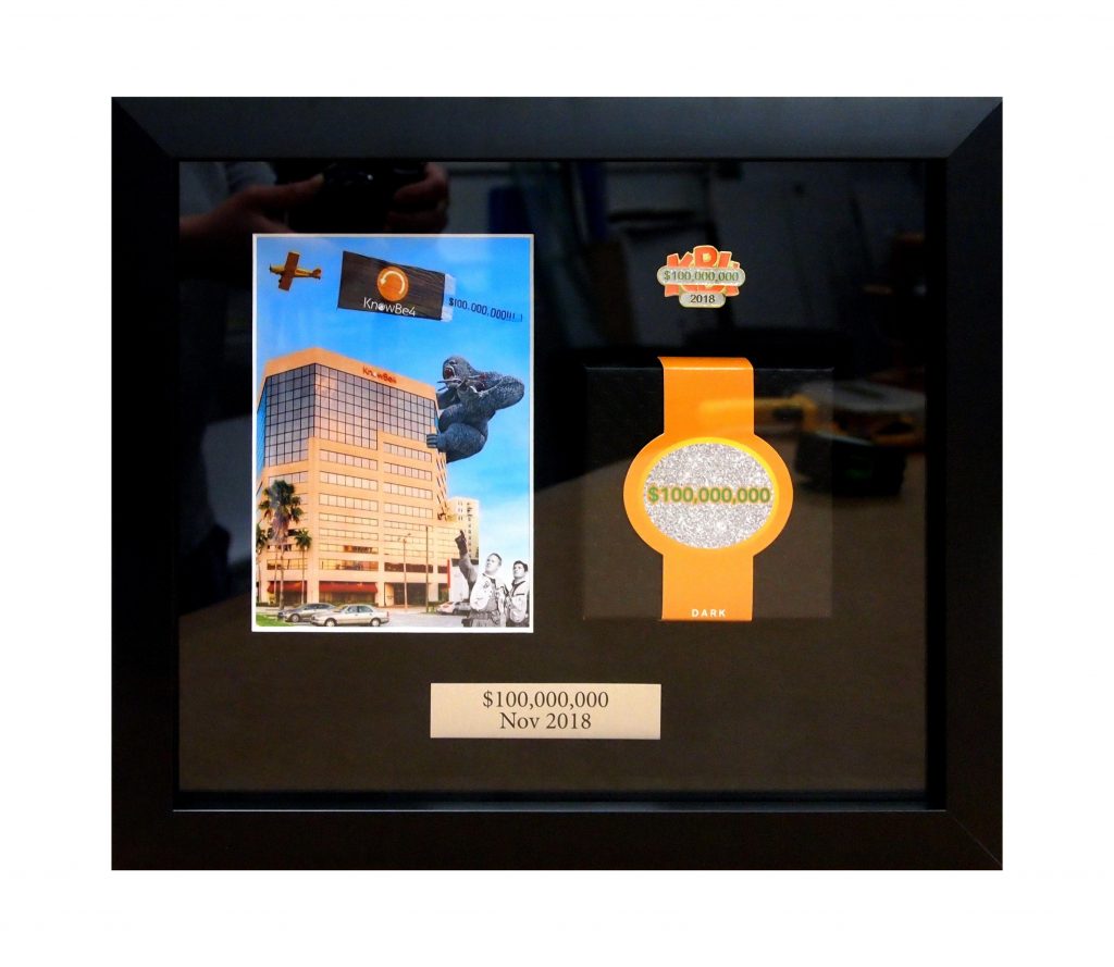 Shadow box award display frame by My Favorite Art Place