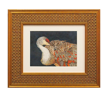 Duck illustration fine art framing by My Favorite Art Place