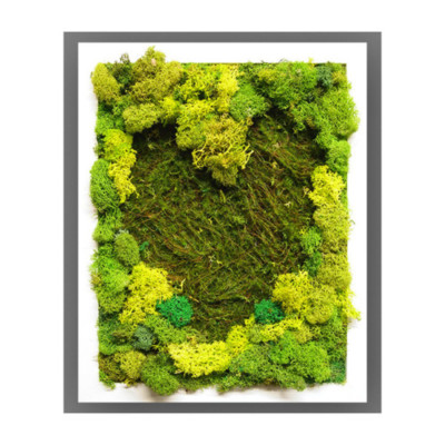 Organic moss wall art in white frame by My Favorite Art Place