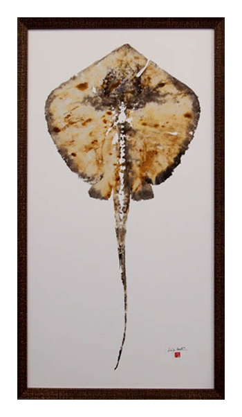 Butterfly specimen art framed by My Favorite Art Place