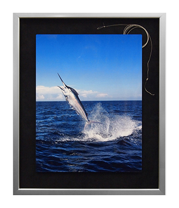 Whale breaching ocean photo framed by My Favorite Art Place