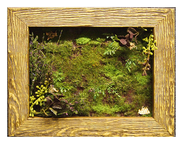 Framed preserved moss wall art by My Favorite Art Place.