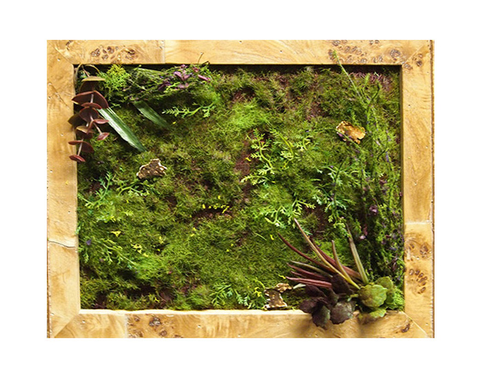 Large framed moss artwork installation by My Favorite Art Place