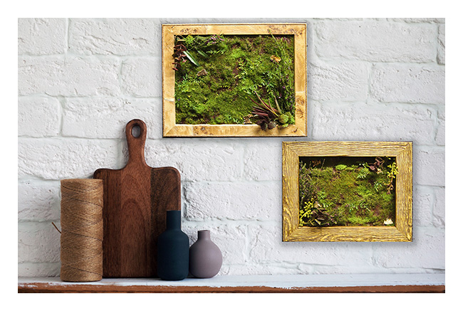 Framed moss art decor styled by My Favorite Art Place