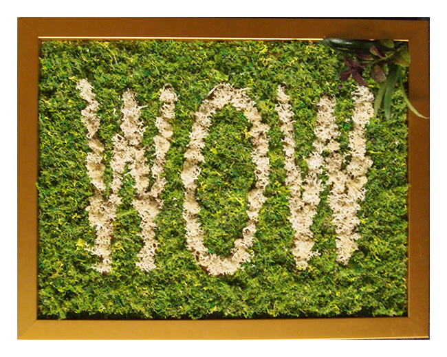 Moss typography wall art spelling wow by My Favorite Art Place