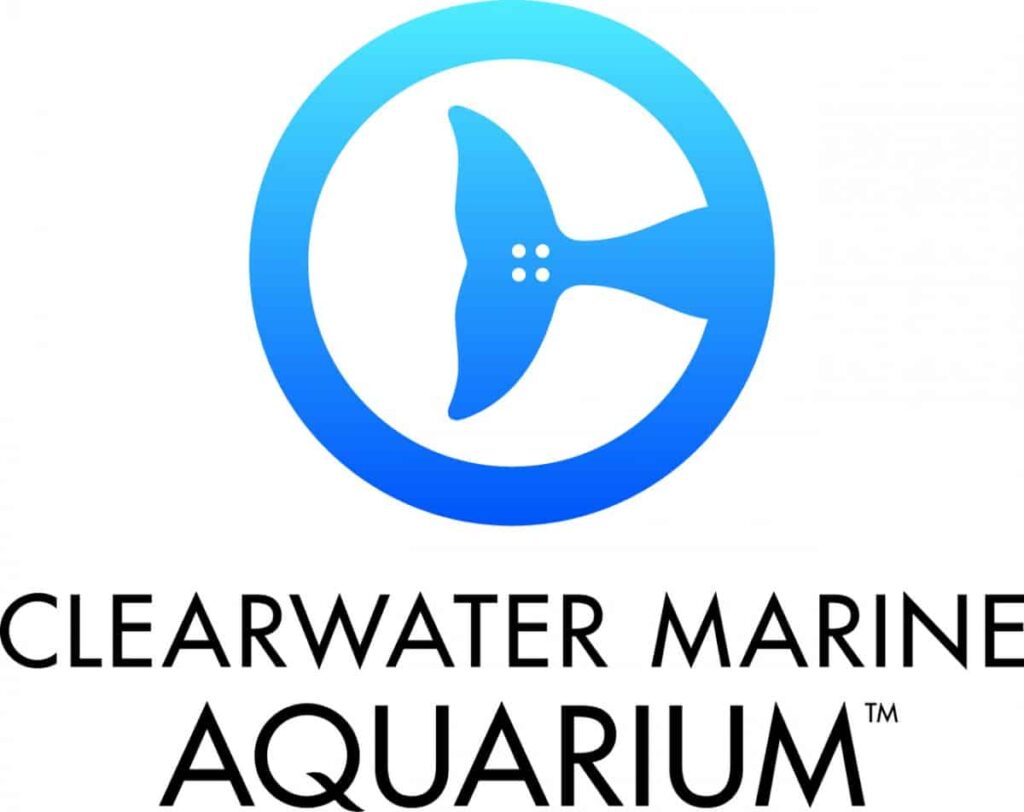 Clearwater Marine Aquarium partner logo at My Favorite Art Place.