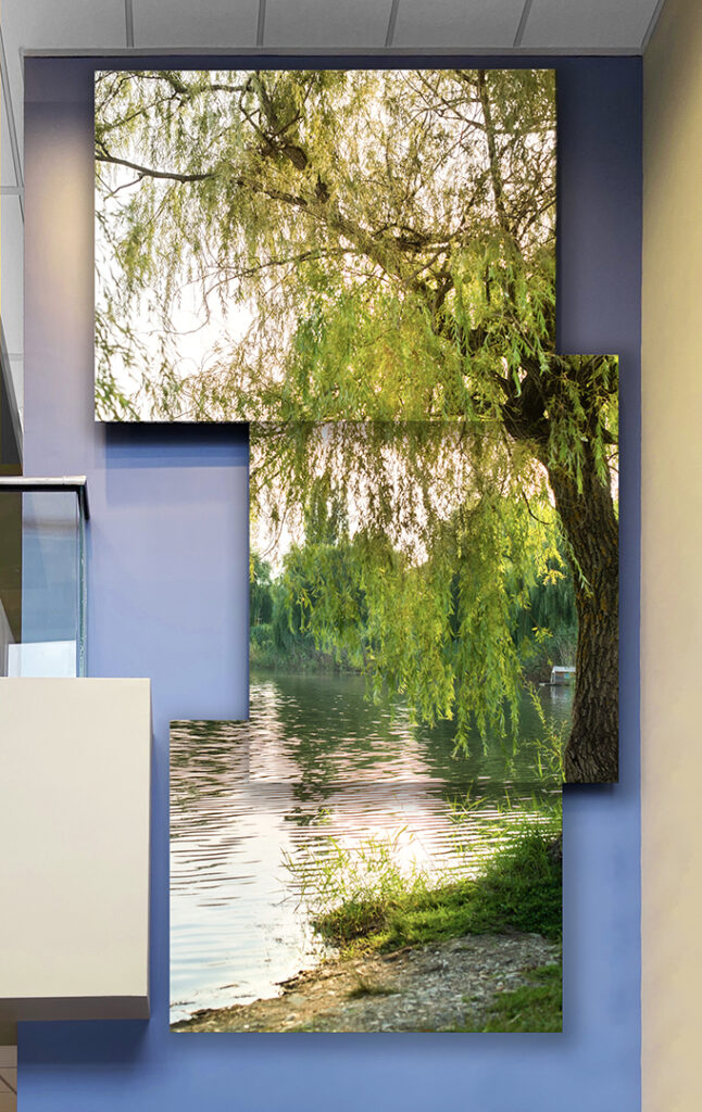 Nature-inspired wall art panel featuring greenery by My Favorite Art Place