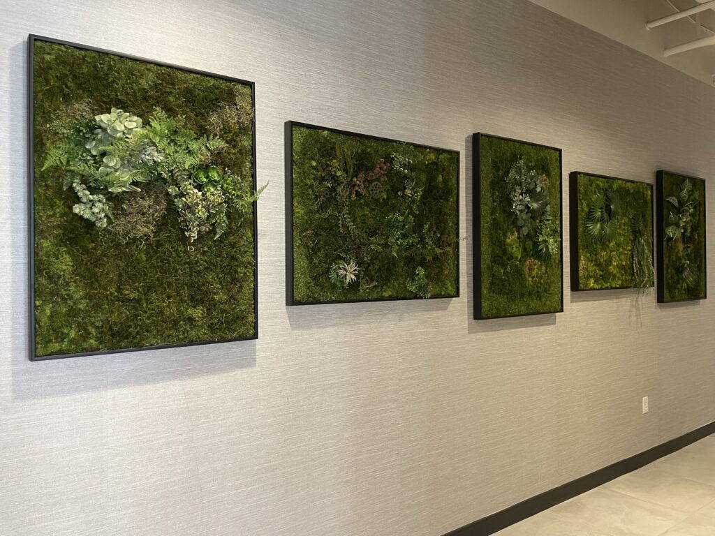 Modern office wall featuring moss art panels.